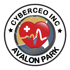 CyberCEO
